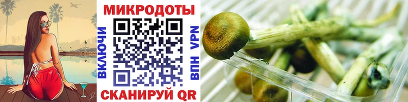 МЕГА ССЫЛКА  Староминская  Галлюциногенные грибы ЛСД 